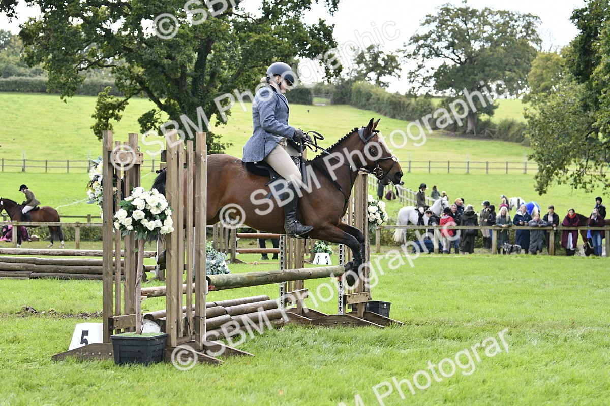 SBM_45626 - S33 - Working Hunter Pony