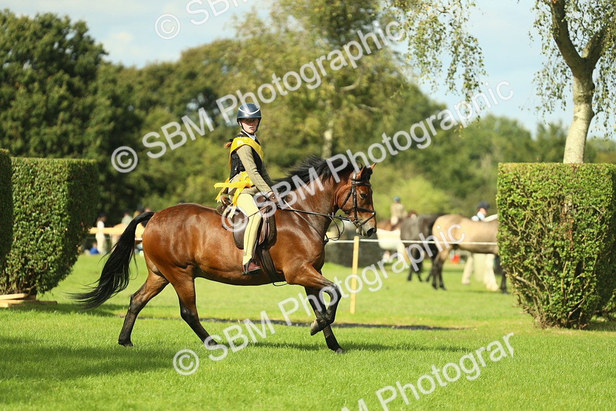 SBM_44923 - Working Hunter Pony Supreme Championship