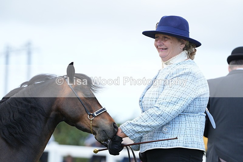 DSC06620 - Class 57: Miniature Horse 4yrs & over