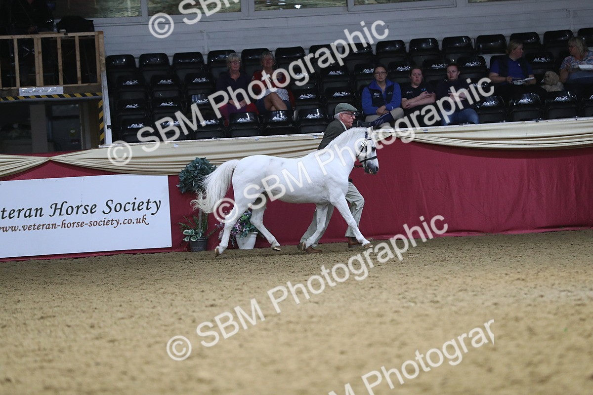 SBM_15184 - Class 501 M&M IH Supreme Final