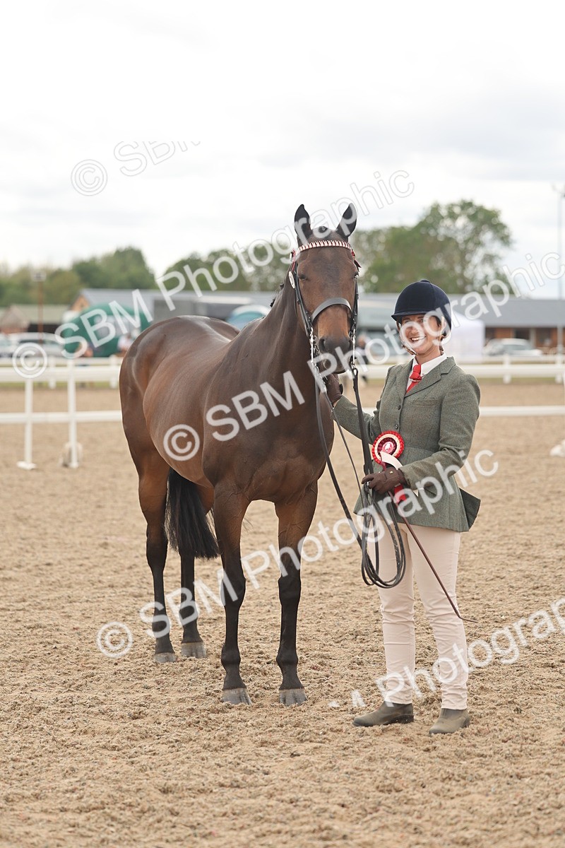 SBM_17148 - Class 313 - IH Retired Racehorse