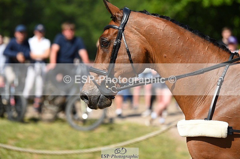 230528-101408-14845 - 260-LOW_MOOR_LUCKY-Tom_Woodward-SJ