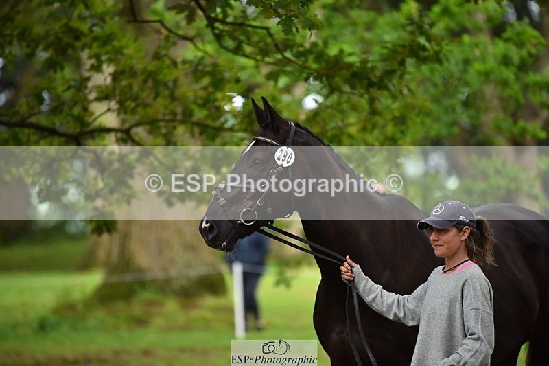 240522-172828-01634 - 290-MISTER_KAI-Hani_Milstein