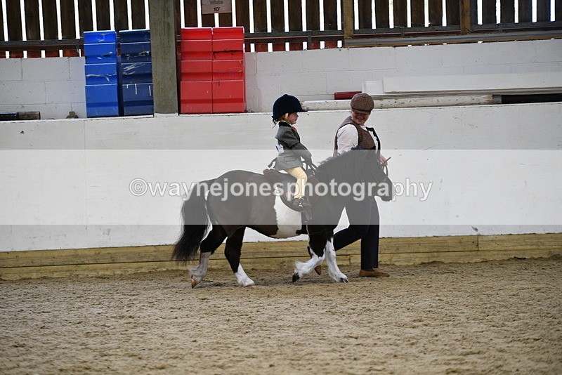 WJ5_6649 - Class 10 Childs Pony