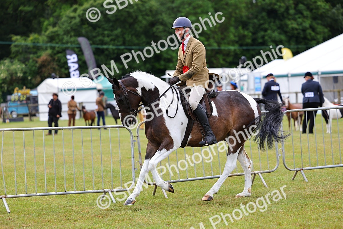 SBM_02649 - Class 9-11 Side Saddle including LIHS Rising Star Ladies Show Horse