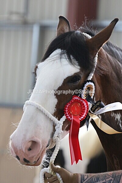 SIAL0351 - Indoor Classes