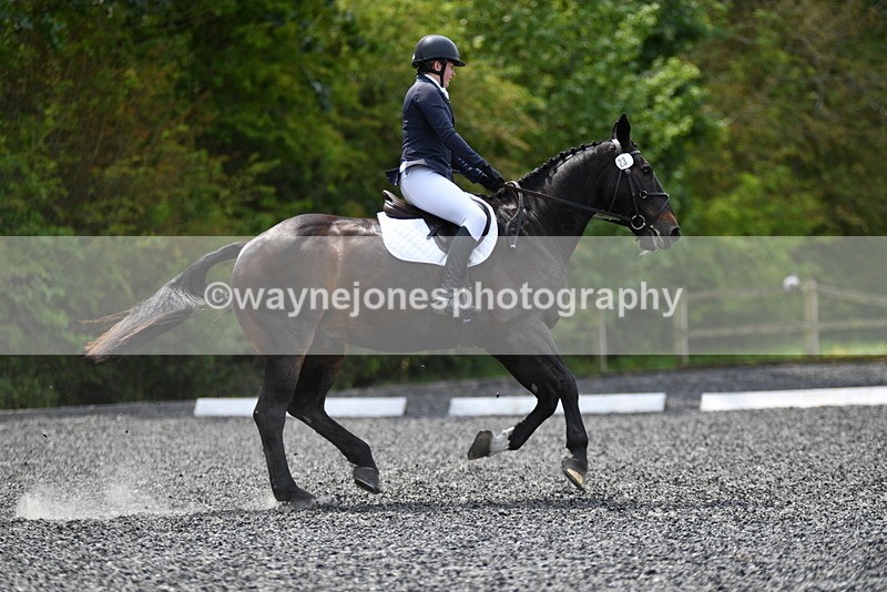 WJ5_0056 - Time 11:47 to 12:21