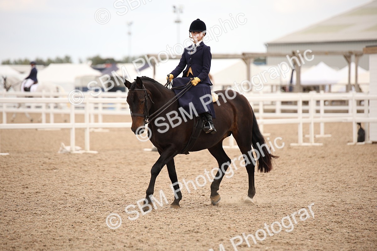 SBM_05452 - Class 22 SSA Equitation