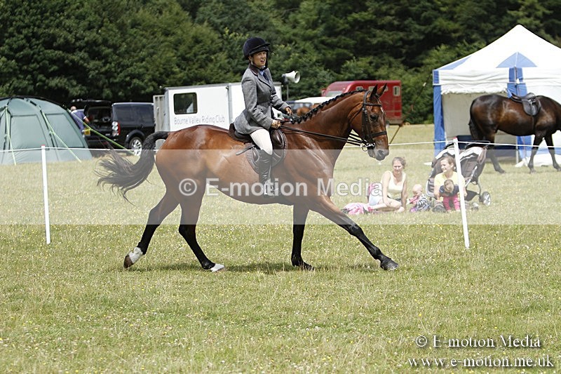 BVR160717-1816 - Ring 3 BVRC Show 16/07/17