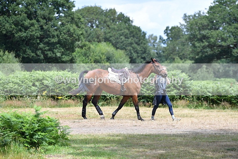 WJ5_0061 - Time 12:30 to 13:00