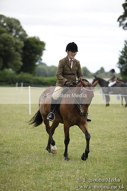 BVR160717-781 - Ring 1 BVRC Show 16/07/17