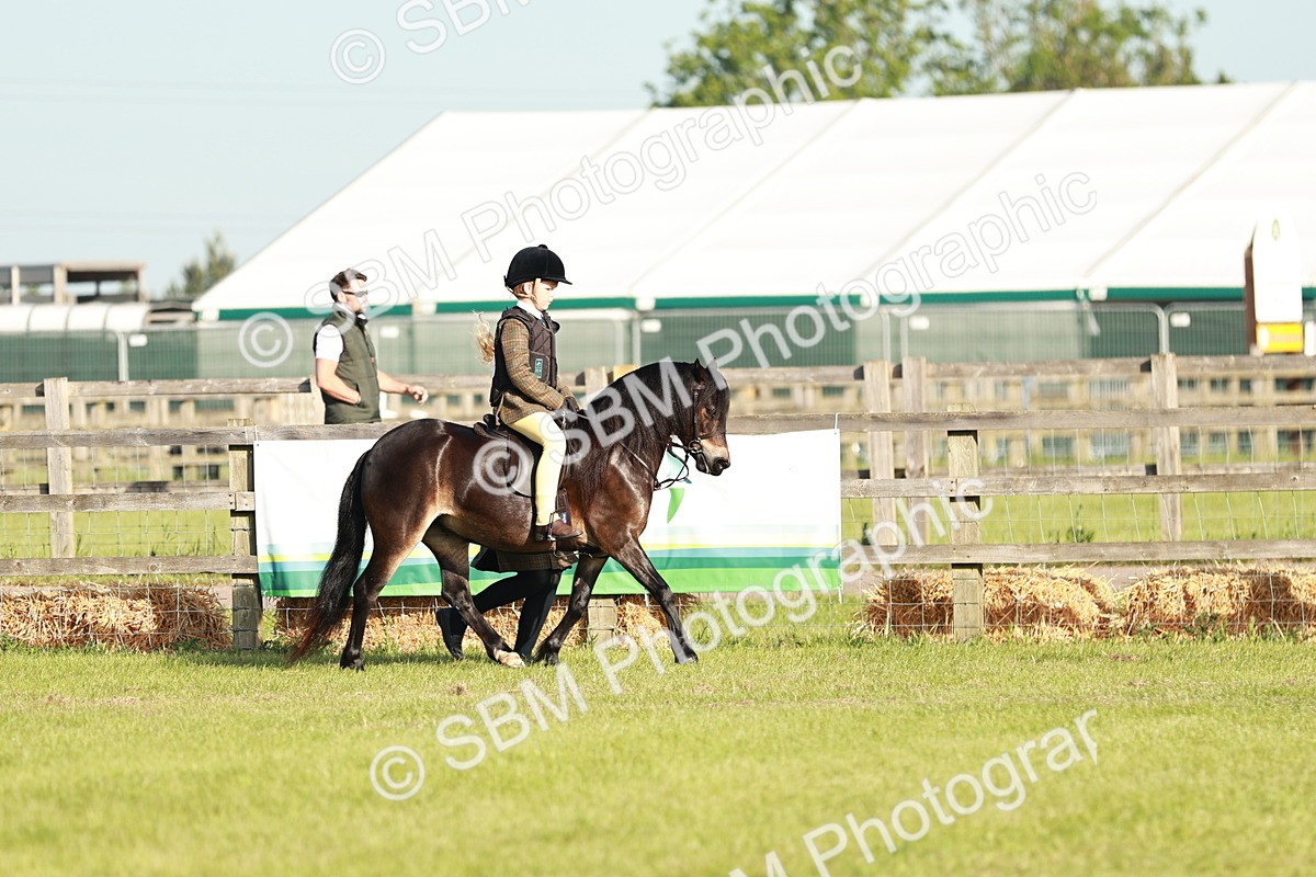 SBM_11061 - Class 106-107 - BSPS LIHS Working Sports Pony