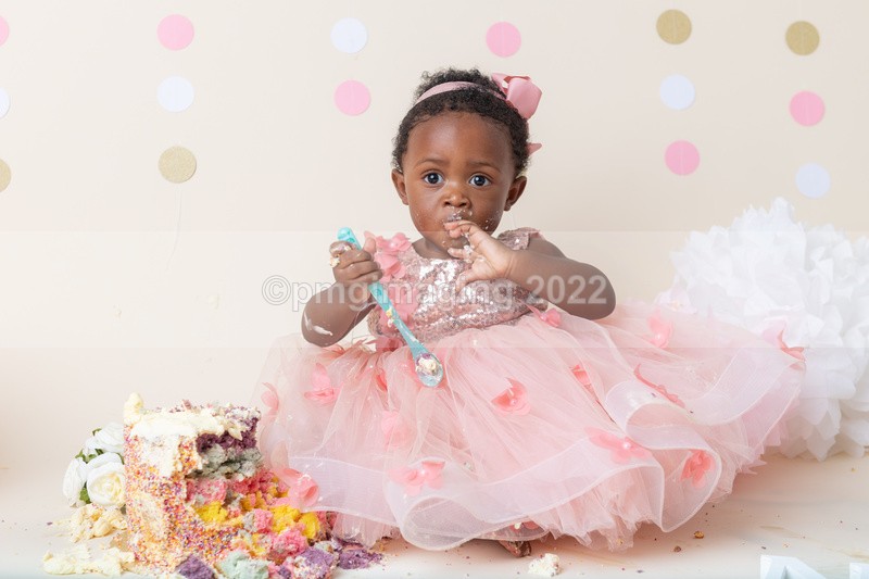  - Cake Smash Portraits
