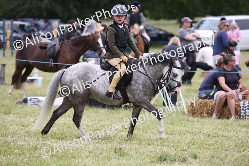20260614-3134 - Class 22 - Open Working Hunter