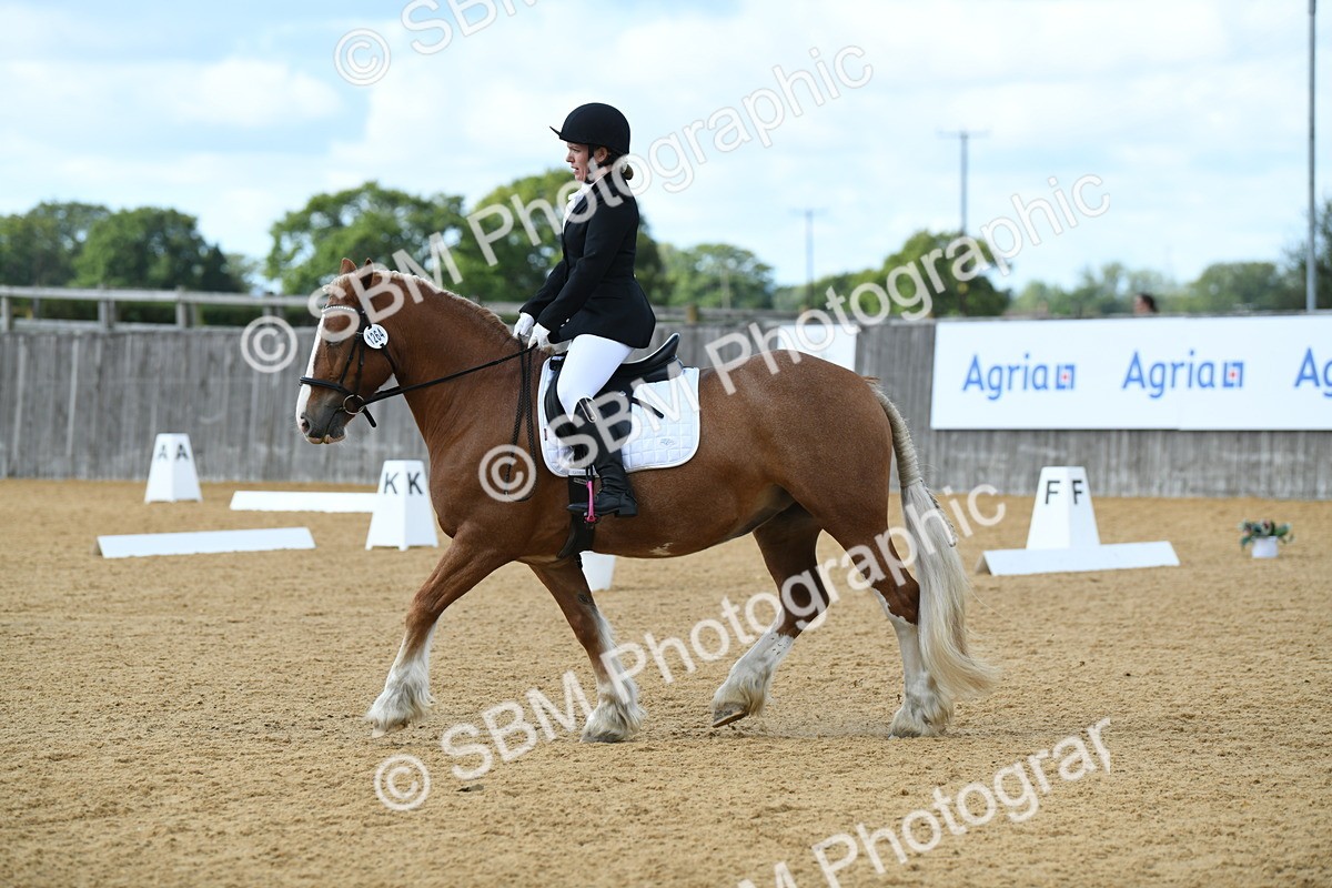 SBM_03106 - D7 Small Tour Championship Prelim 1