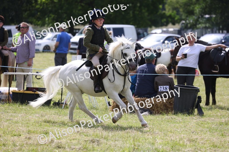 20260614-0730 - Class 20 - Beginners Working Hunter Pony