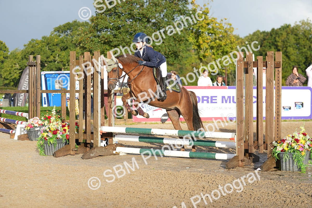 SBM_32297 - J5 - Junior Pony 50cm Championship