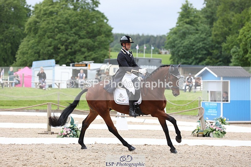 240523-145757-02987 - 231-DHI_ROCK_DANCER-Roberto_Scalisi