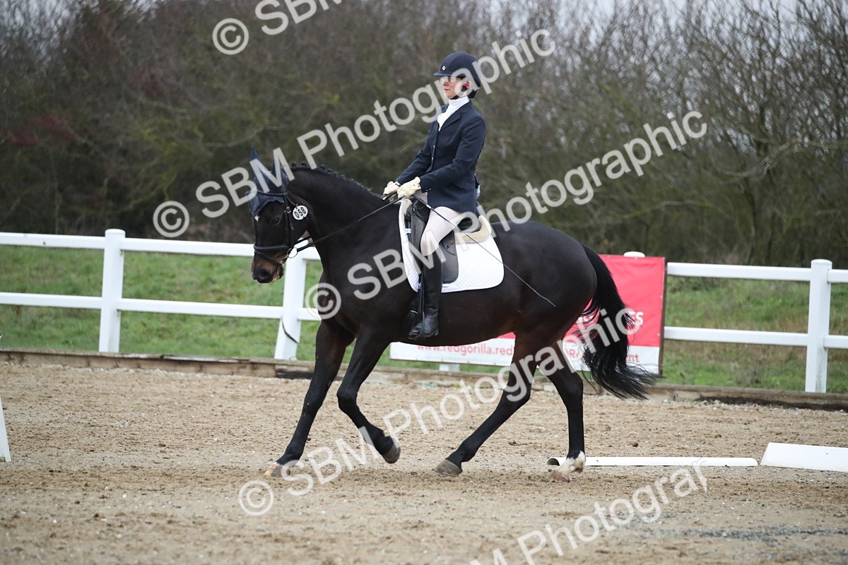 SBM_004917 - Novice 3