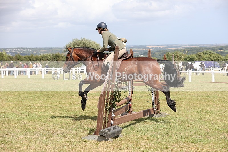 JPP_2057 - Class 19: Working Hunter 60cm