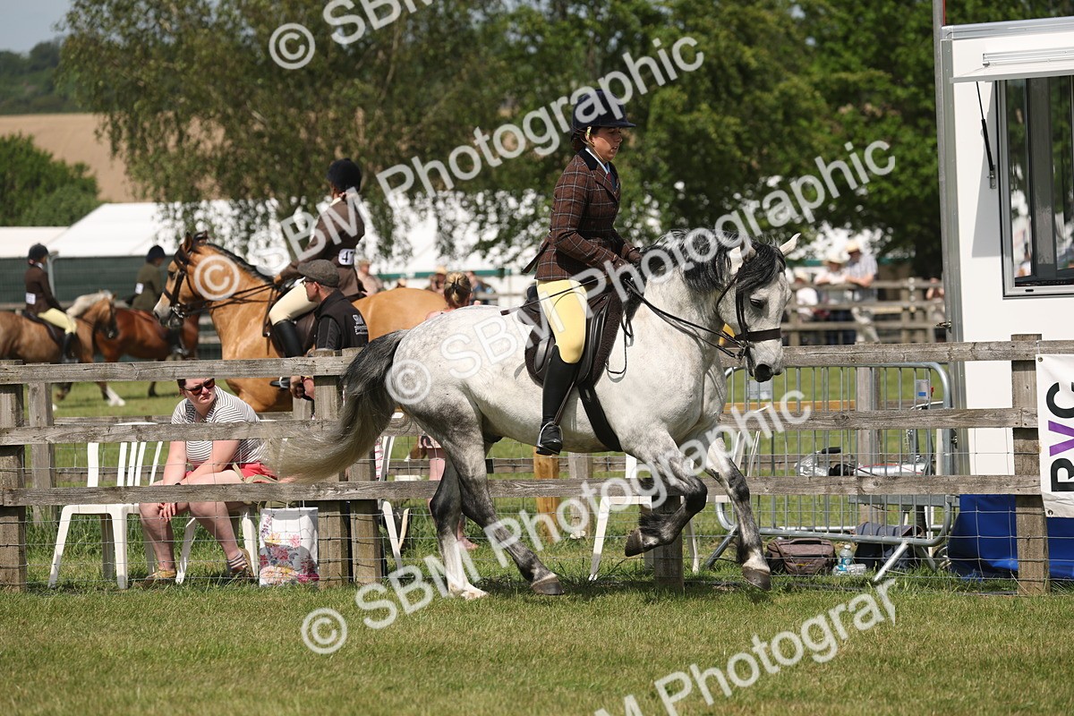 SBM_07591 - Class 26-30 - Mountain and Moorland Ridden