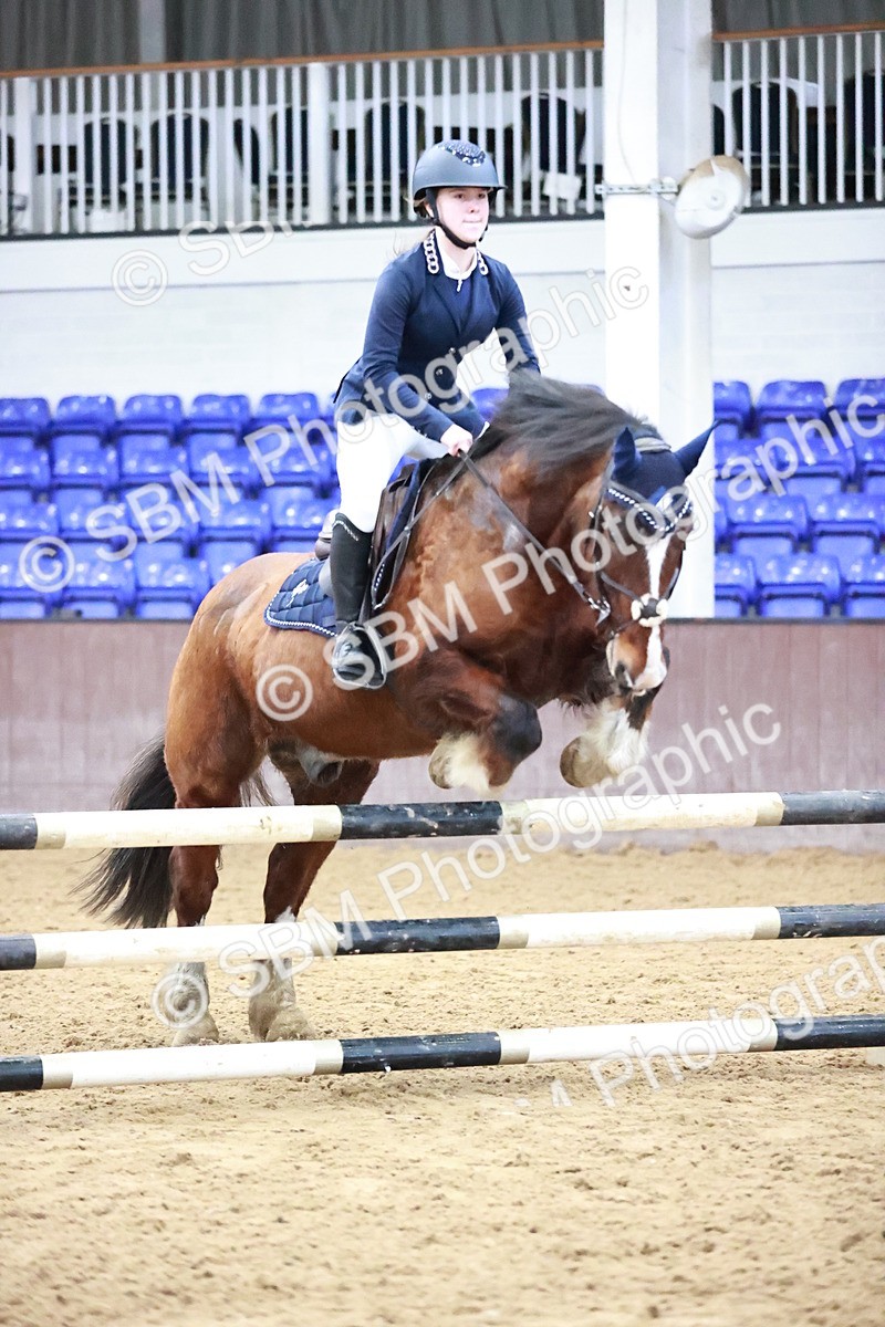 SBM_000581 - Class 2 - Pony Winter Champs 80cm