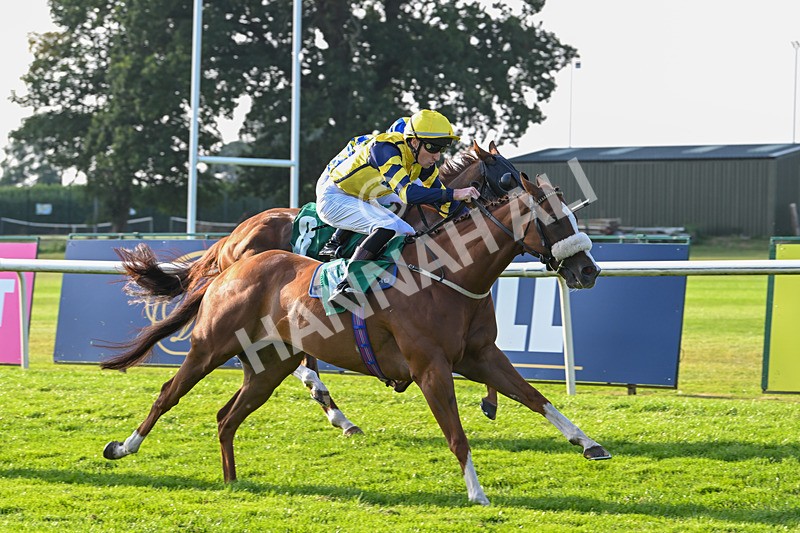 300824-Race 8-Captain Corelli-6669 - Race 8