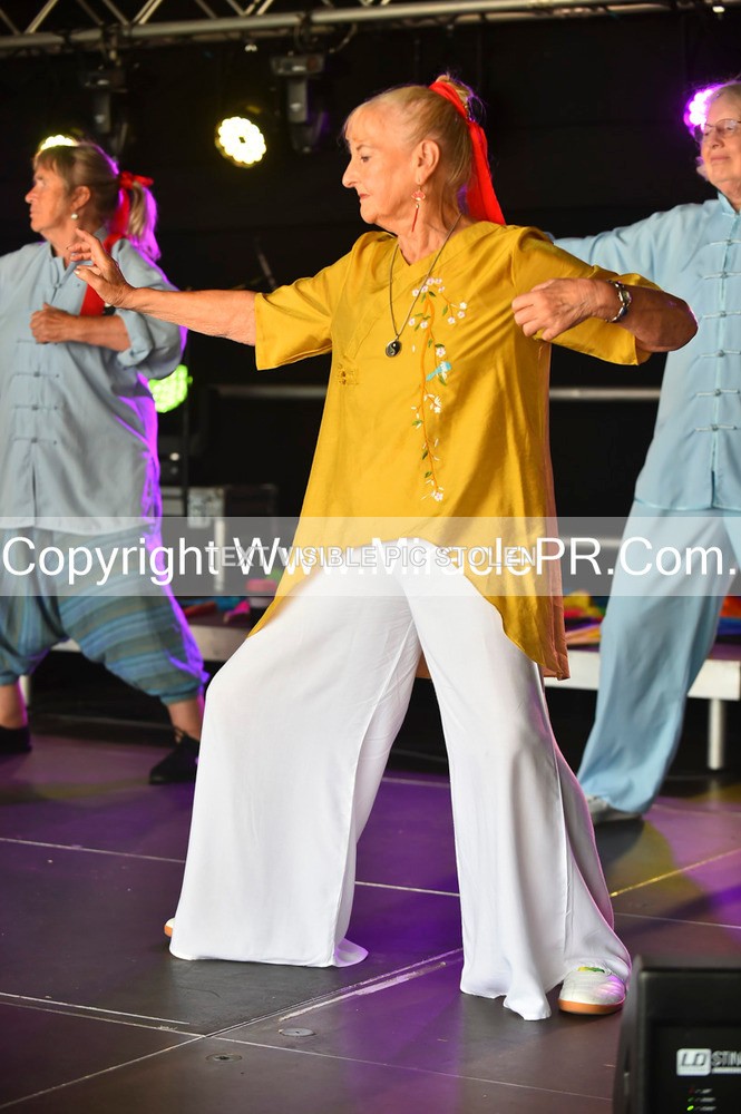 SH4_1355 - Tai Chi with Lisa Kay.