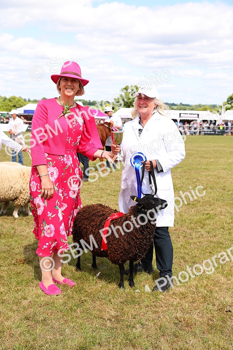 SBM_17012 - Grand Parade