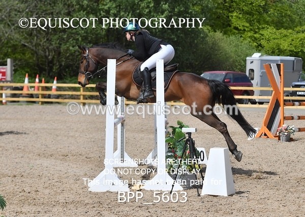 BPP_5603 - CLASS 24 SUN Senior BritiNovice/ 90cm Open