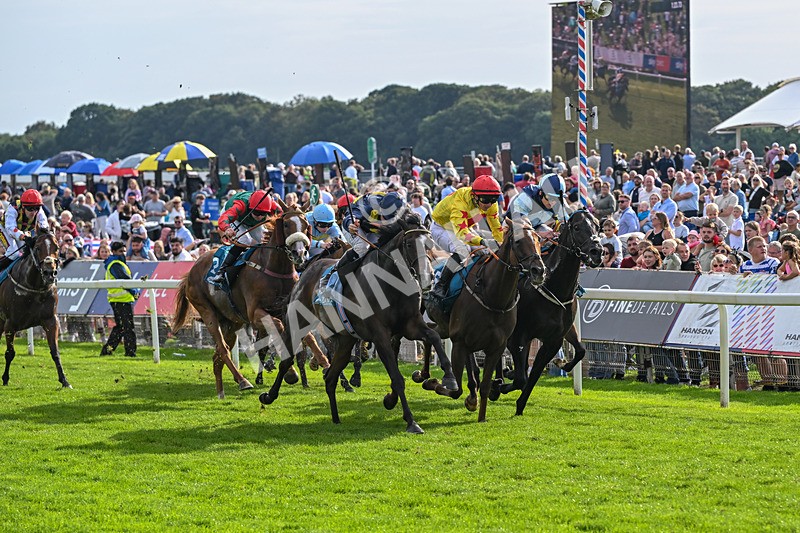 060926-Race 6-Power Fizz-8774 - Race 6 4.25pm Eboracum Security Handicap
