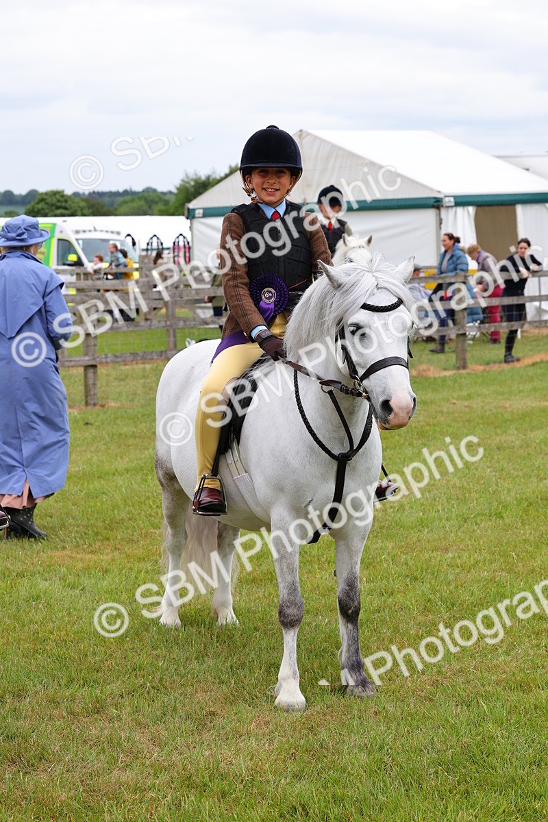 SBM_08866 - Class 42-43 - LIHS BSPS Heritage Working Sports Pony