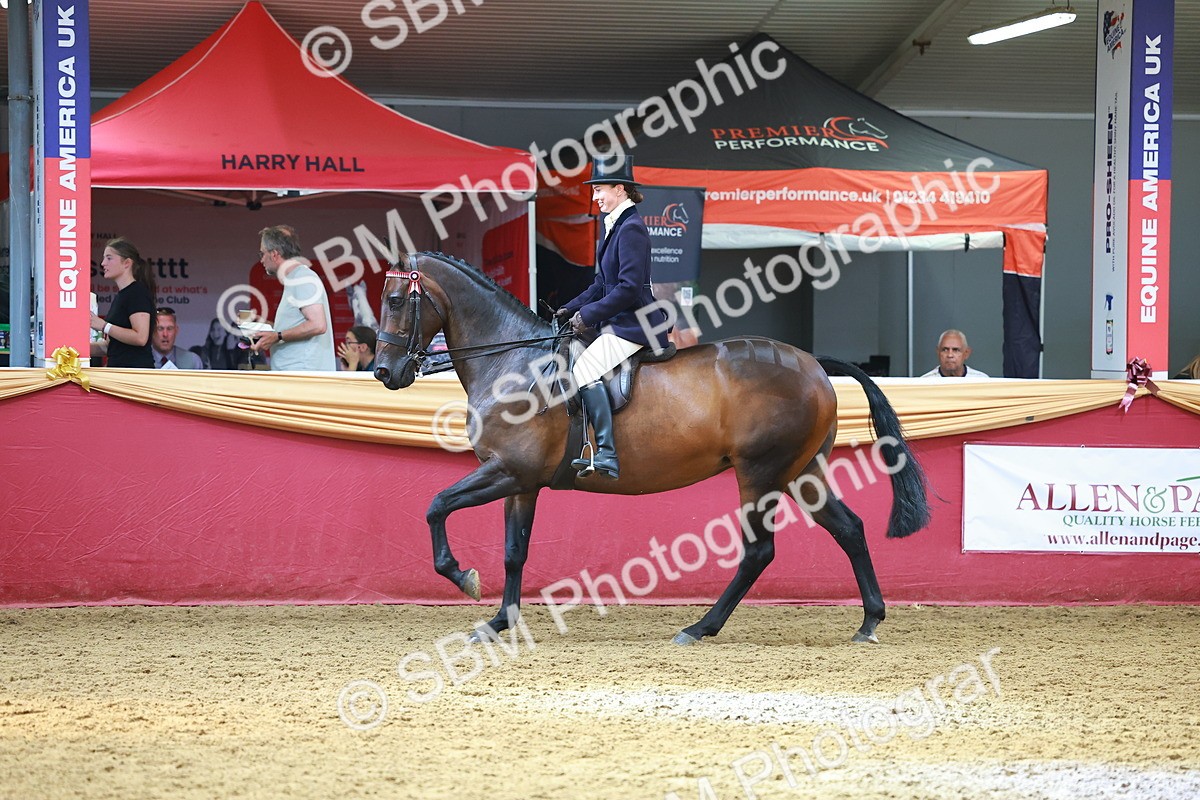 SBM_20233