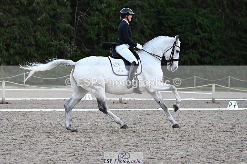 231110-162923-02644 - Cls 14 FEI Grand Prix