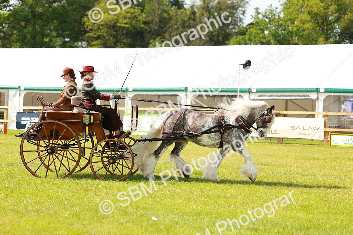 SBM_02652 - Class 2-4 - HOYS Private Driving