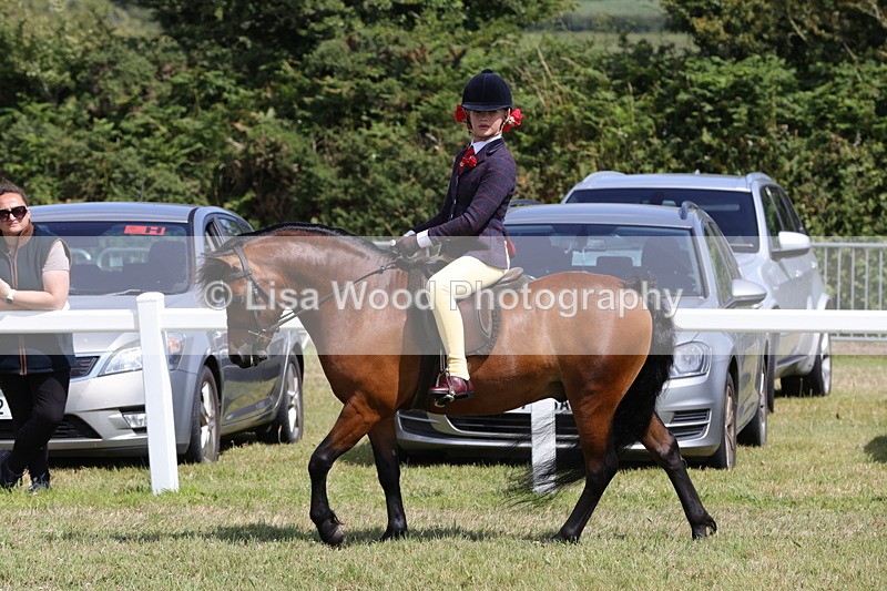 1X9A5358 - Class 37: NPS M&M First Ridden