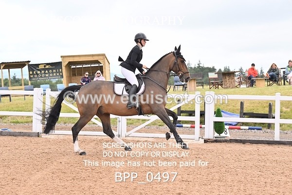 BPP_0497 - CLASS 28 SUN Nupafeeds Senior Dicovery/1m open