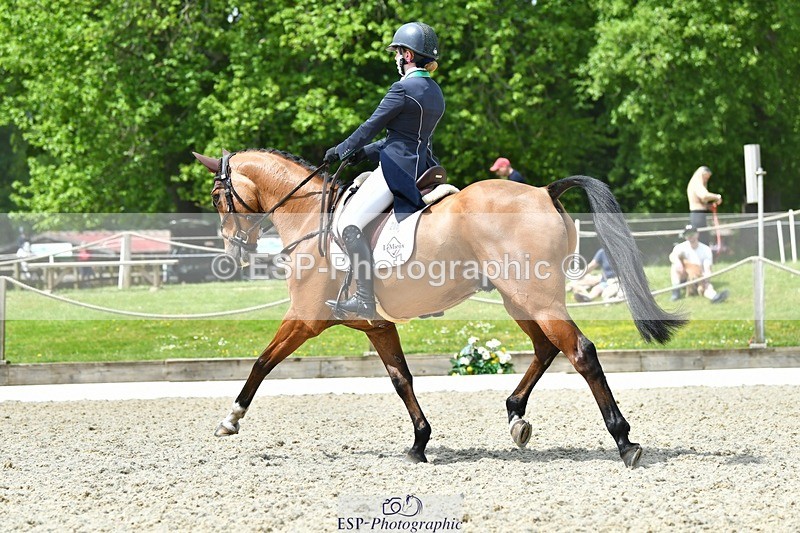 230525-120542-04171 - 206-MEXICAN_WAVE-Daisy_Bathe-WEDTrotUp+DR