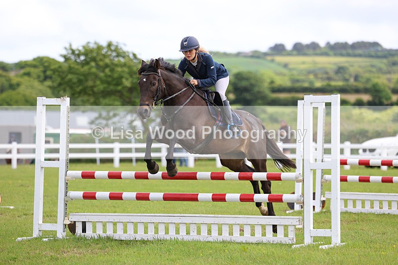3E7A7596 - Class 13: Senior British Novice/90cm open