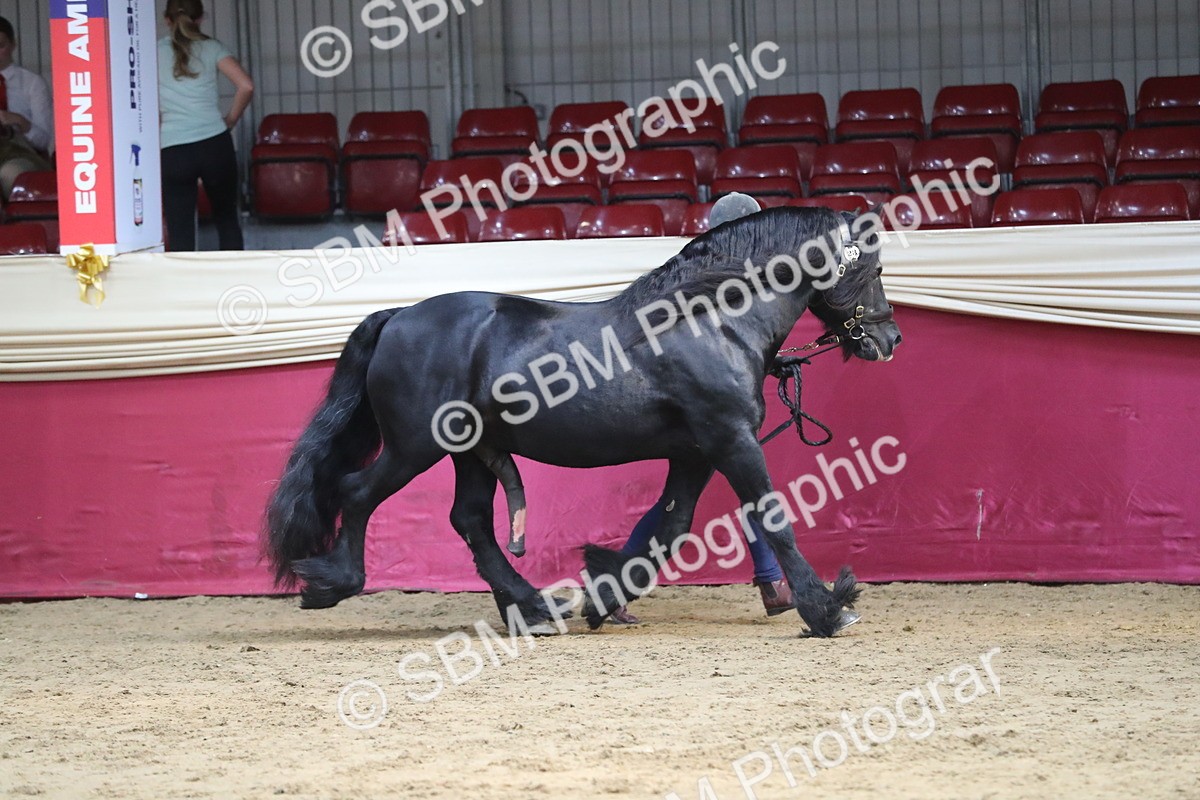 SBM_06525 - Regional IH Champ