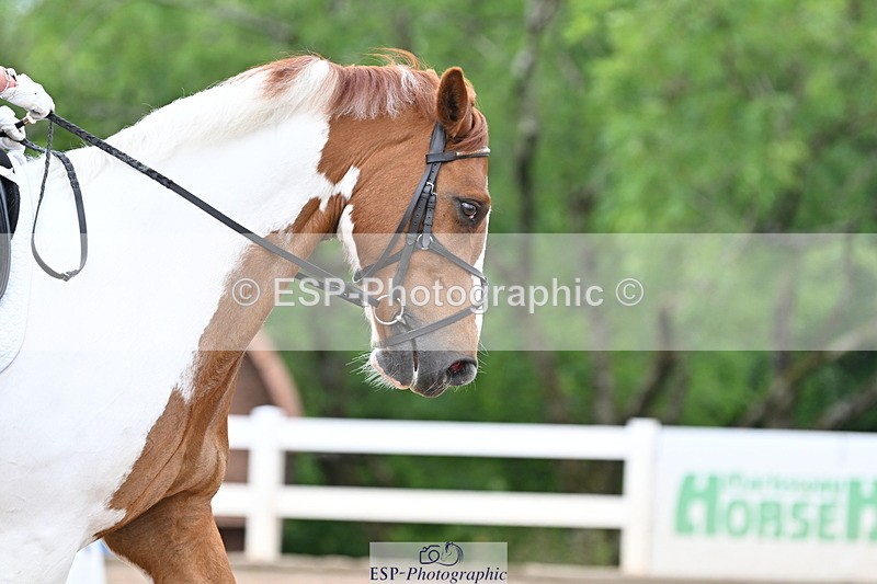 240623A-122029-18244 - Cls 49 Music Novice