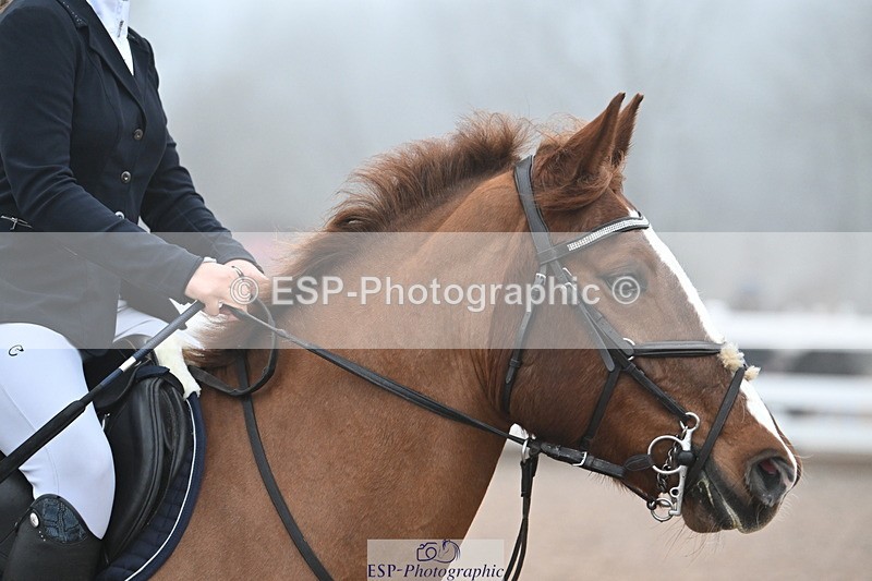 231118A-090022-00168 - Cls 2 BlueChip Pony Novice Qualifier