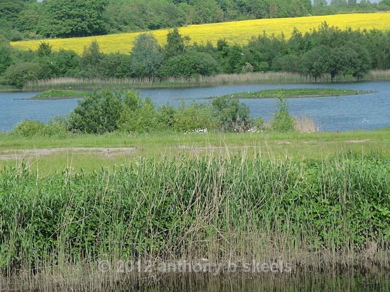 040 Onto Fleet Lane - SAINT PAULINUS PILGRIMAGE TRAIL
