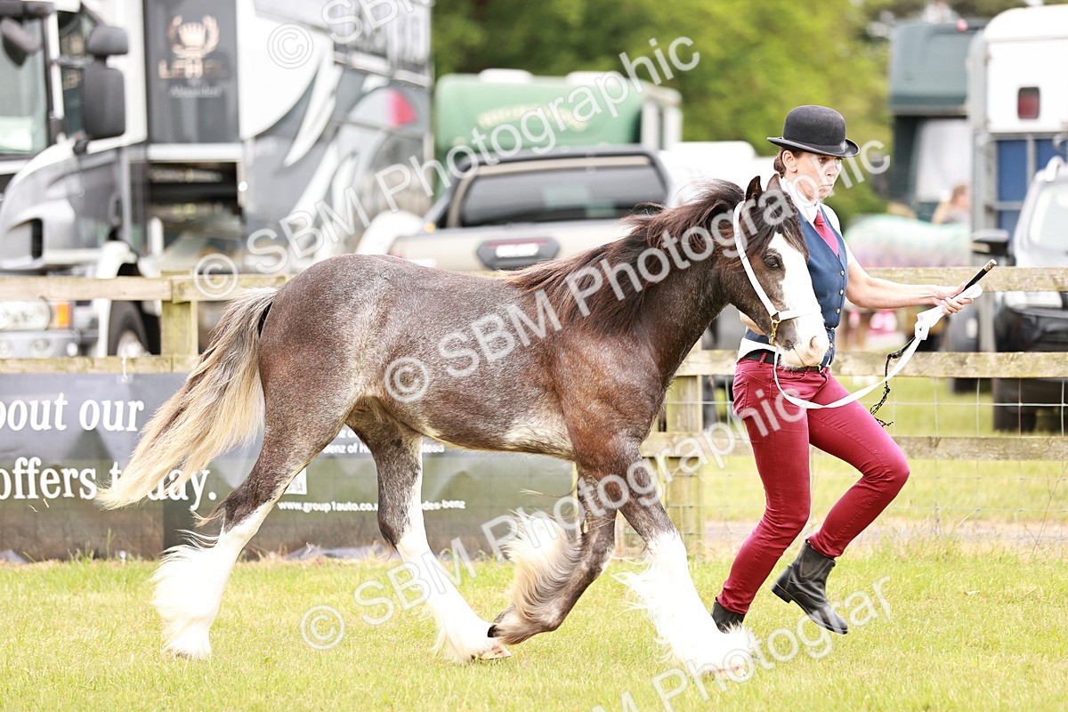 SBM_04553 - Class 5-8 - BSPA In hand