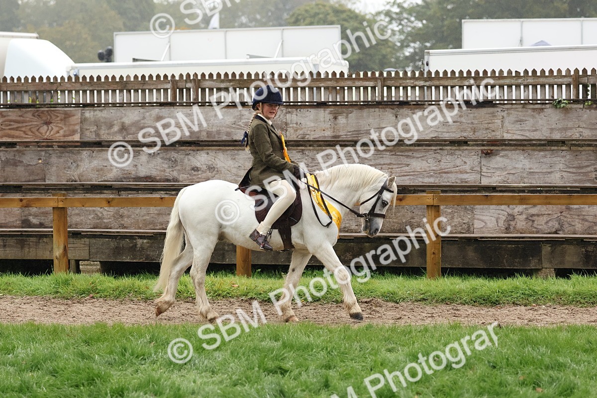 SBM_73094 - Ridden Pony Supreme Championship