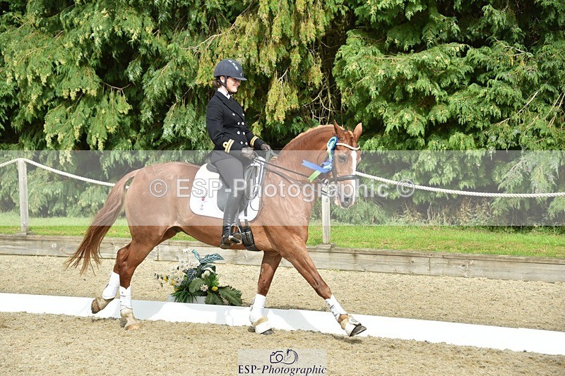 230812-160332-05354 - FEI PSG Bronze Presentations