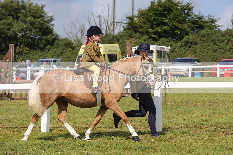 1X9A3586 - Class 29: Lead Rein SP/SHP