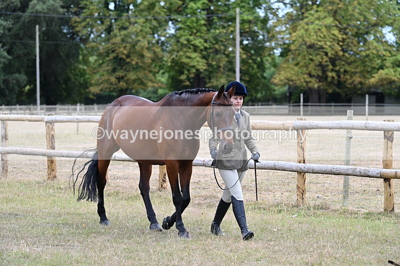 WJ7_8957 - Class 4a Prettiest Mare 14.2hh and over
