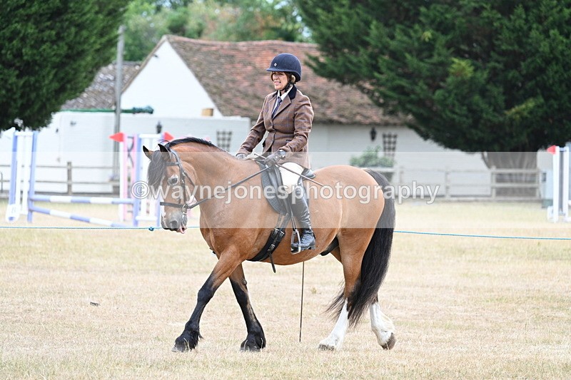WJ7_0261 - Class 6 Ridden Mountain and Moorland