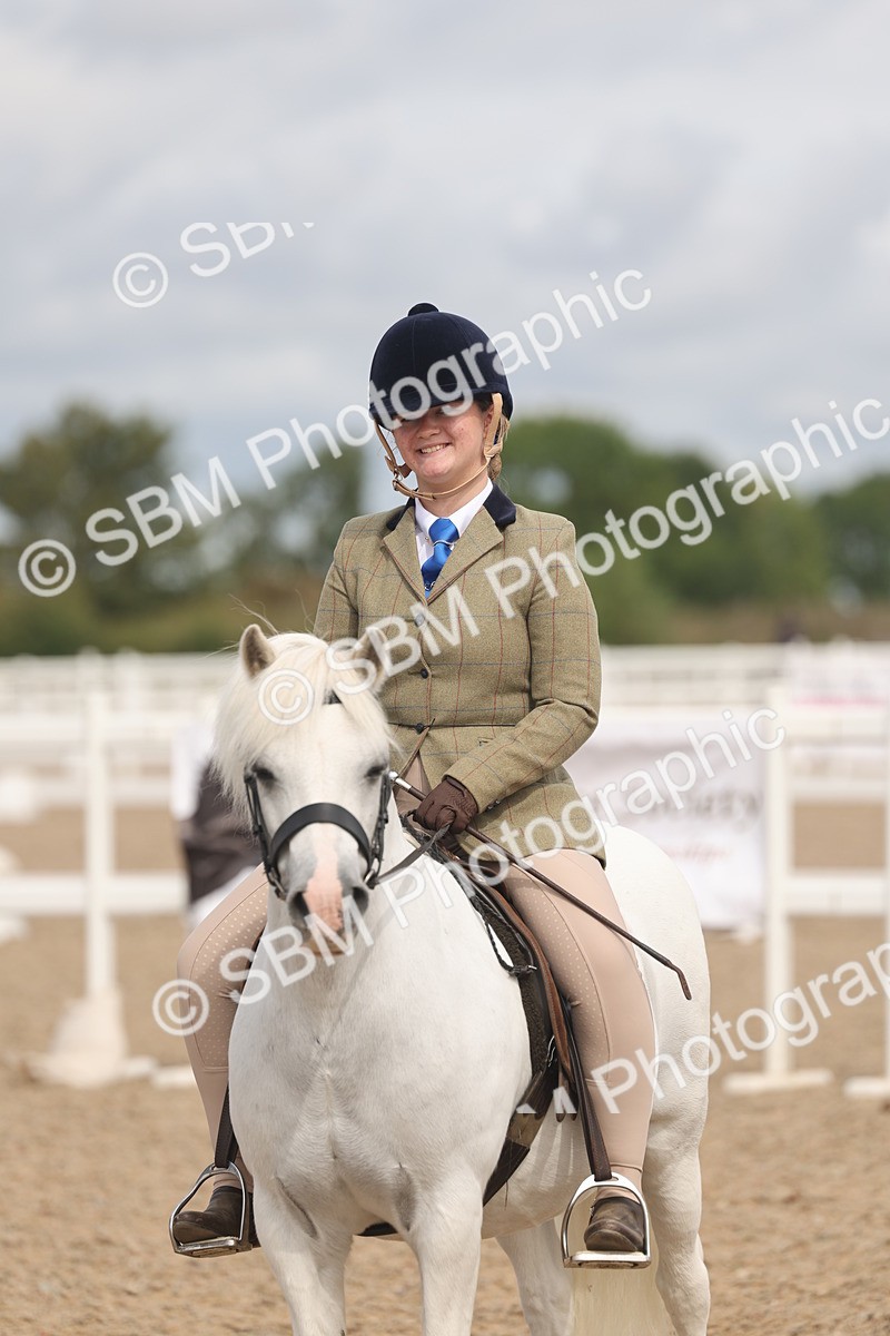 SBM_04539 - Class 19 - Horse/Pony Judge would most like to take home